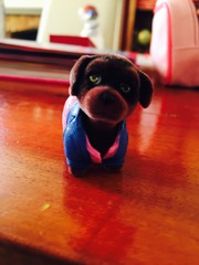 Help Please Can you Identify this Toy?