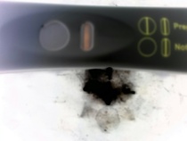 CVS early pregnancy test results