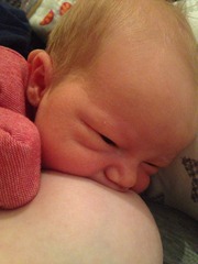 The shiny new Pregnant after MC due December 2014 thread #2