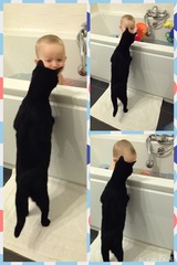 Cat photo thread