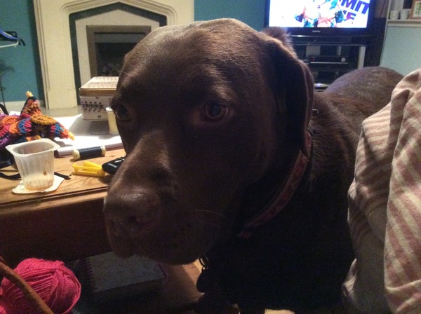 'there are easier breeds:' which ones?