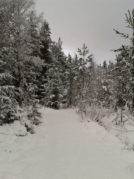 Badkittens weather into the new year thread.