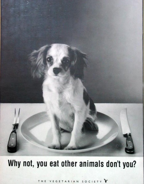 to think sharing explicit anti-meat eating photos on Facebook is completely abhorrent and unnecessary? [Title edited by MNHQ]