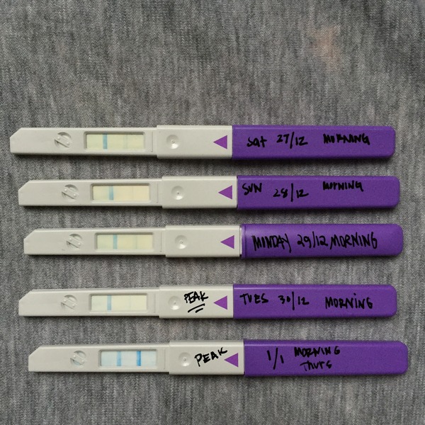 Clearblue digital OPK  smiley face (peak fertility) on day 8?