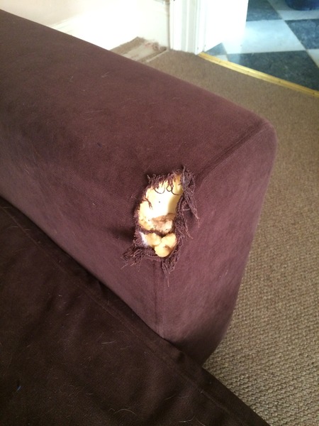Advice on sofa repair