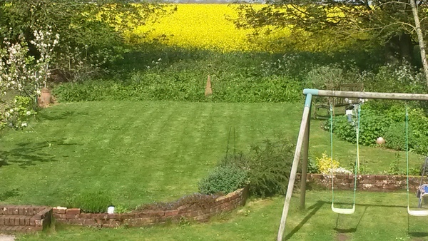 When the hounds of spring are on winter's traces…...