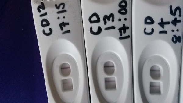 help with opks?