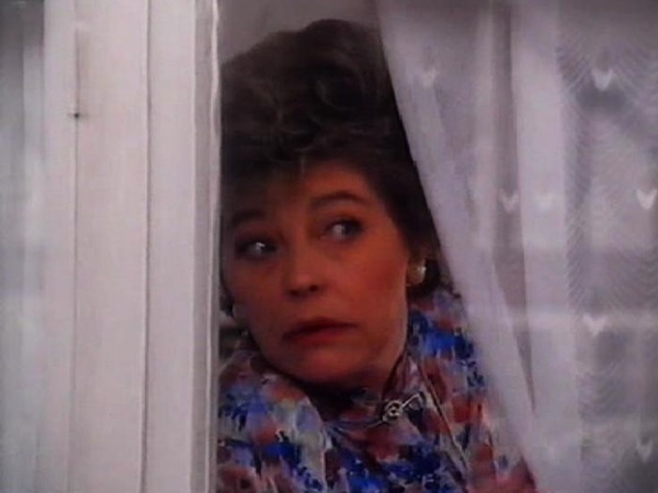 AIBU to ask the neighbours to open the curtains?