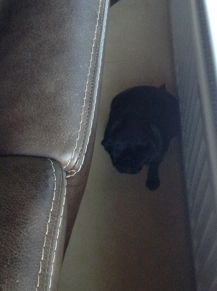 5:2 Thread number 49: Have you gained & lost the same 20 lb so often that your cellulite has déjà vu ? Or want to dump several stone of ballast (not just STBX) ? Whatever your goals, join us !