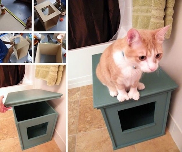 To wonder why so many people keep litter trays in the kitchen?