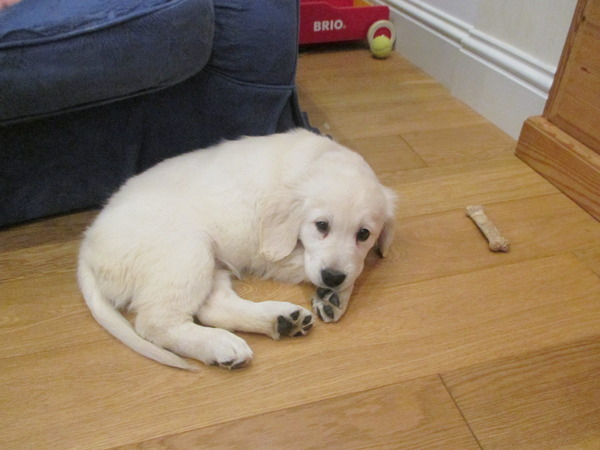 So here's our new addition....