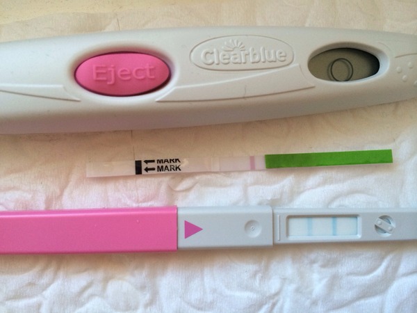 DING! DING! The February bus is departing - destination Preggsville!