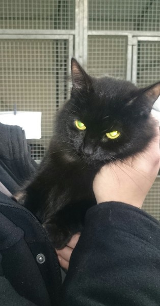 jan 2013- No, I will not have a new nappy