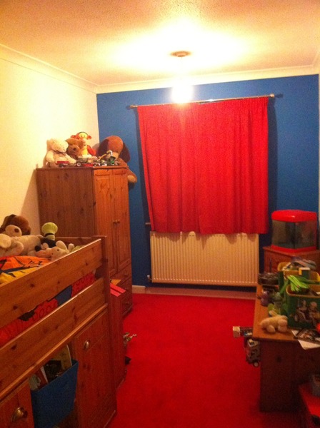 Has anyone painted their DS' bedroom bright blue?
