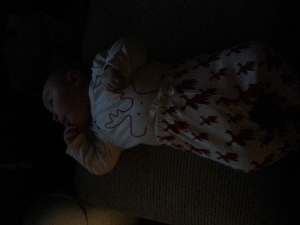 Just Mumming Along (Viroids 3)