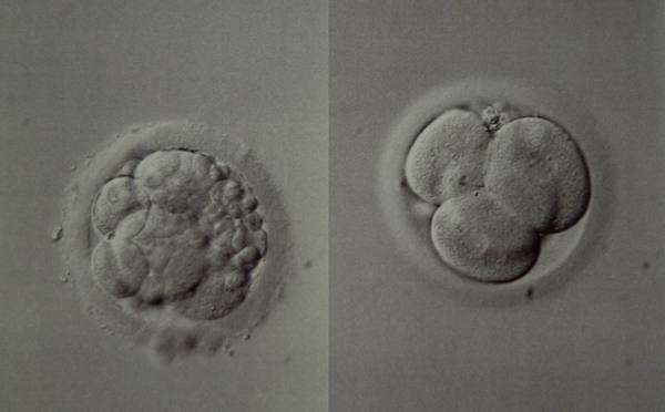 Jazz up your ROC, Invoke a Wankban, Shake your Beaver and Find Cupboard Love with the Just Shagging Viroids! Don't forget to Cup and Run...it's JS 38!