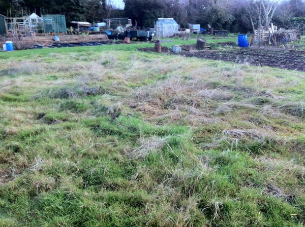 The 2015 Allotment / Veg Patch Thread - it's here!