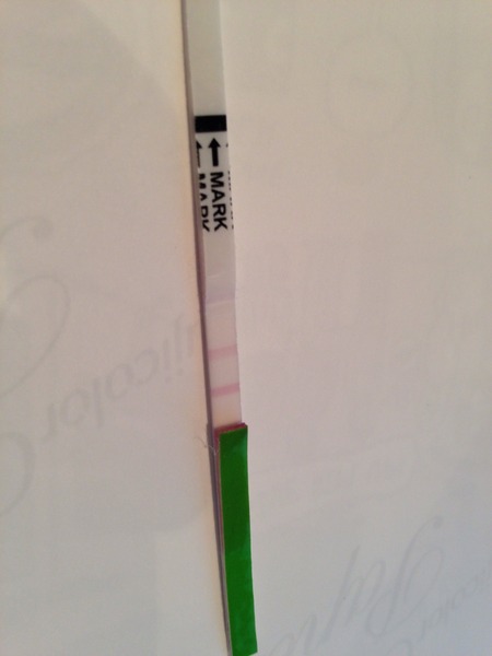 Jazz up your ROC, Invoke a Wankban, Shake your Beaver and Find Cupboard Love with the Just Shagging Viroids! Don't forget to Cup and Run...it's JS 38!