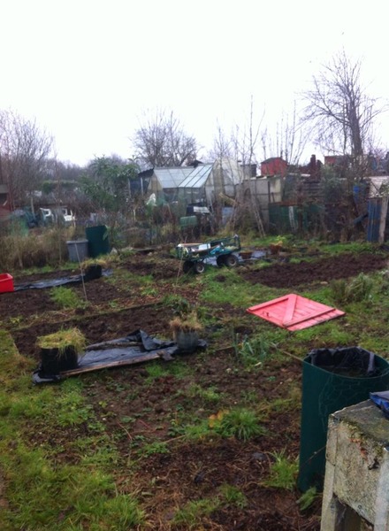 The 2015 Allotment / Veg Patch Thread - it's here!