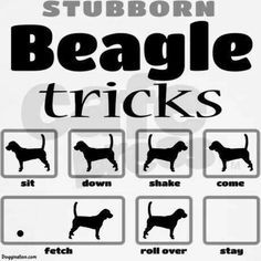 'there are easier breeds:' which ones?