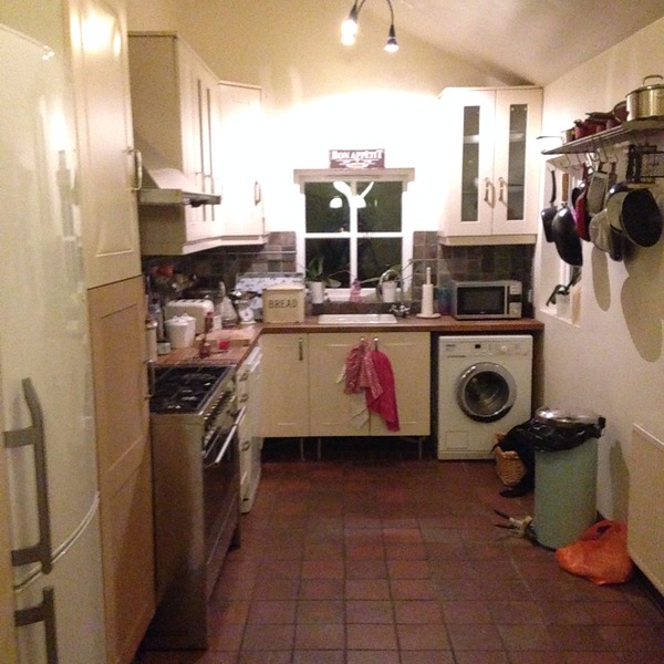Ikea kitchen help! Yet another thread