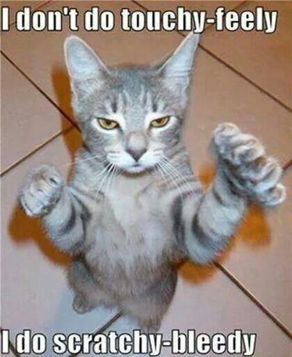 To not care that my cat craps in neighbours gardens