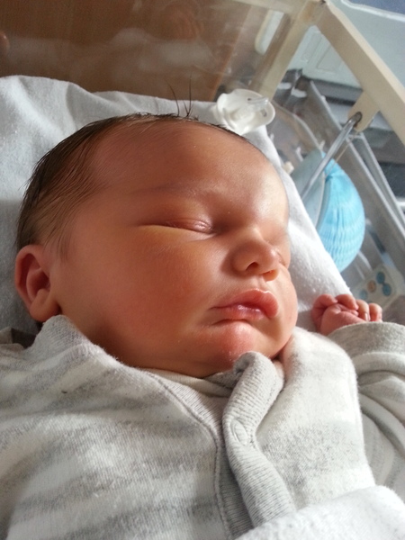 Jan 2015 #10 - the babies are coming thick and fast