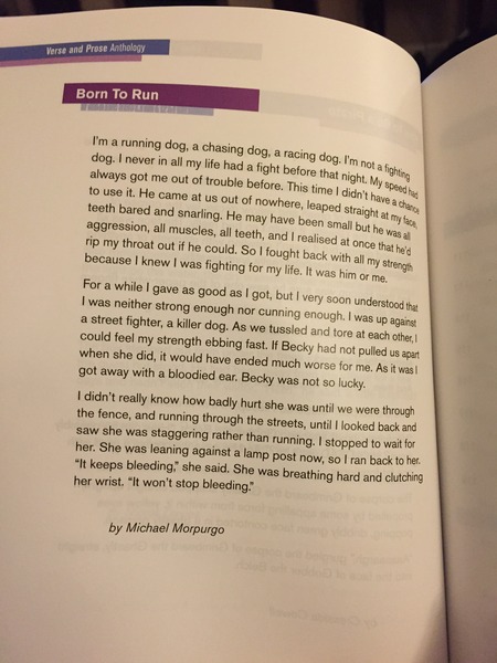 LAMDA 2015 Morpurgo "Born to Run" pages?