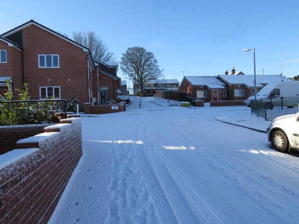 Badkittens weather into the new year thread.