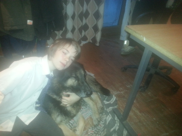 Vet coming to see DDog .. think its time to say goodbye