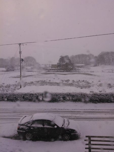 Badkittens weather into the new year thread.