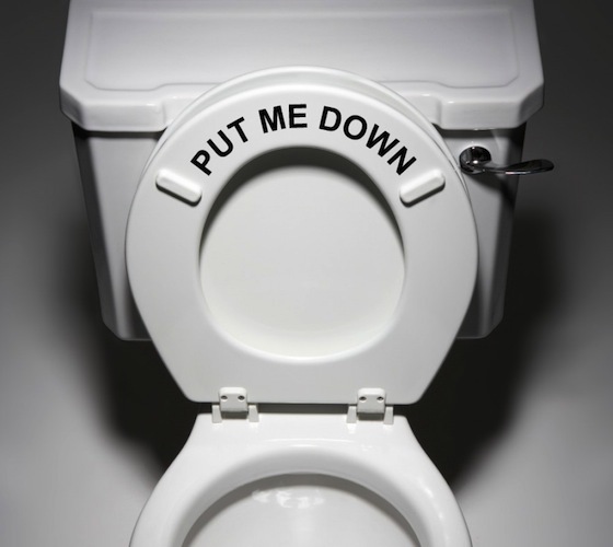 To be annoyed that the workman left the toilet seat up?