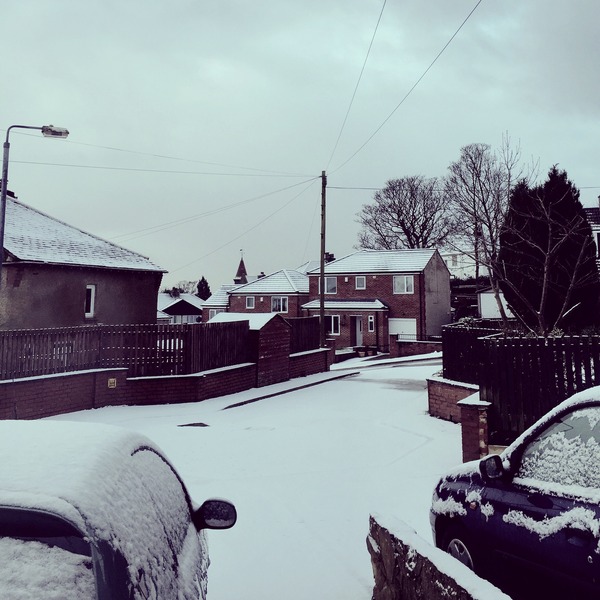 Badkittens weather into the new year thread.