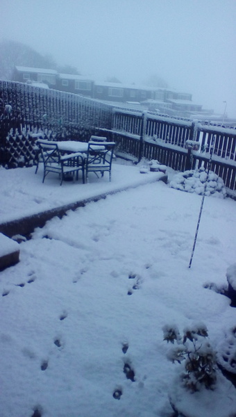 Badkittens weather into the new year thread.