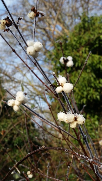 Week 1 - January Low Carb Bootcamp: and we're off!