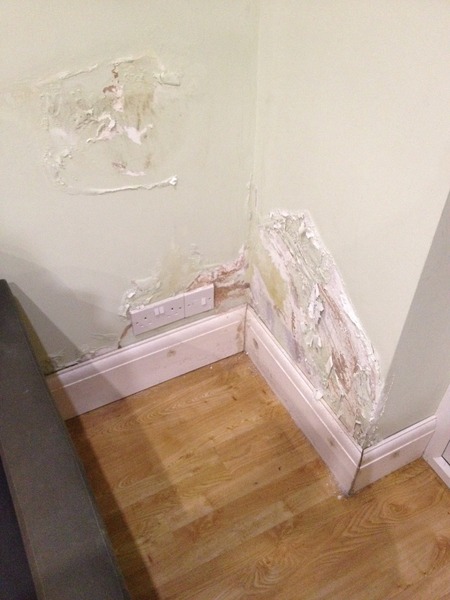 fixing damp - cause unknown
