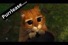 Swagger Inn (the Snug)