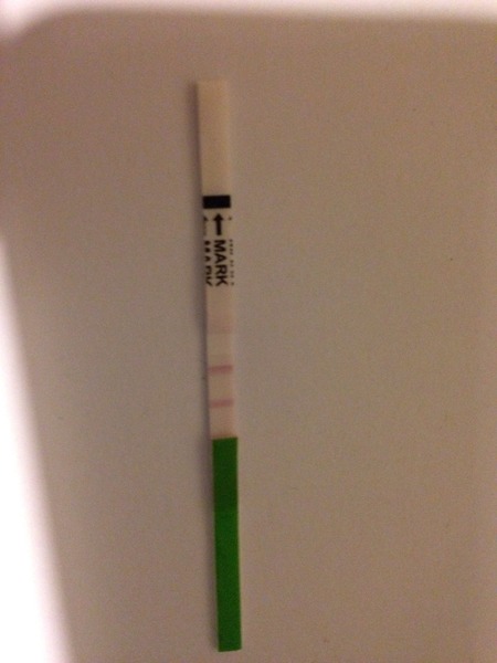 O Come all ye Viroids, joyful and triumphant. Deck the halls with Contraband. All I want for Christmas is a BFP! Just Shag all the way (no36)