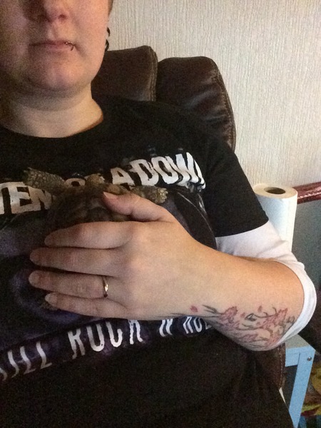 Week 1 - January Low Carb Bootcamp: and we're off!