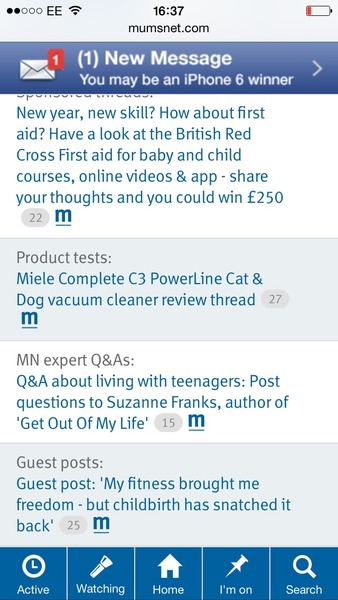 Flashing adverts