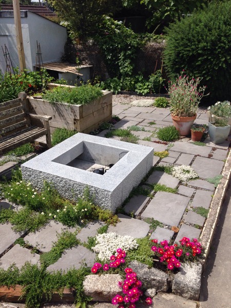 This year it is the garden... Help / advice needed