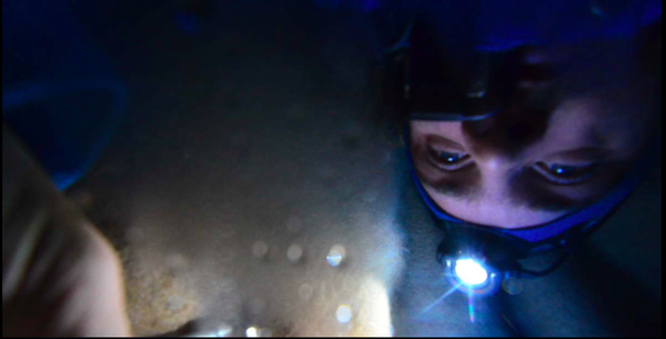 Armchair aurora watching