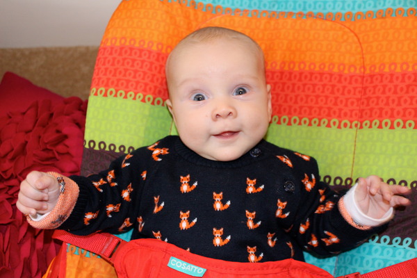 Just Mumming Along (Viroids 3)