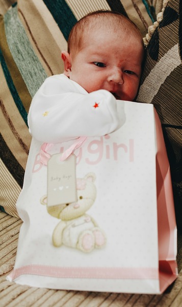 Jan 2015 #10 - the babies are coming thick and fast