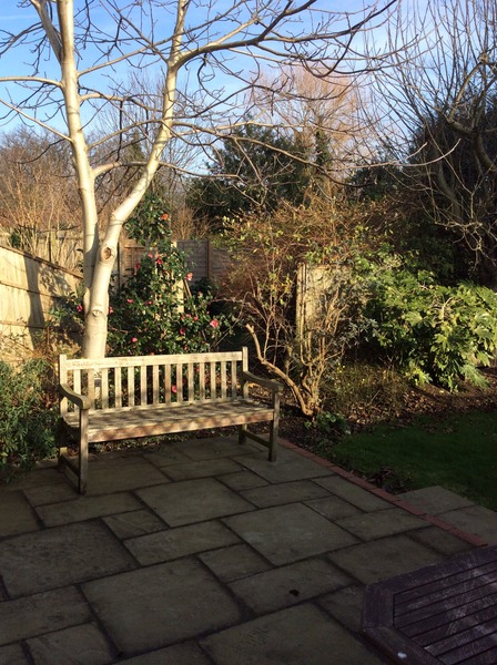 single parent houseshare