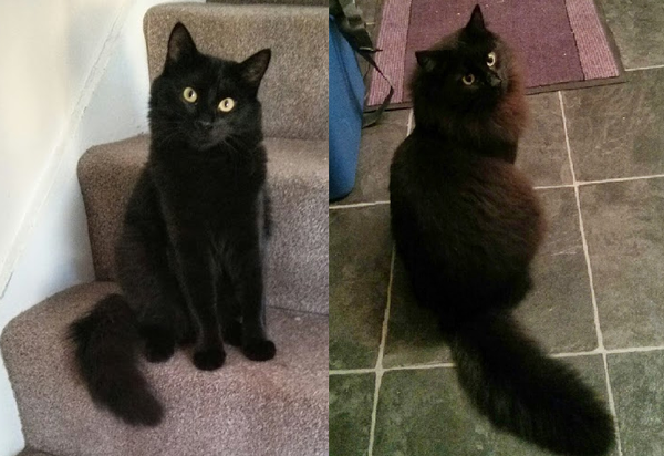 Before and After...