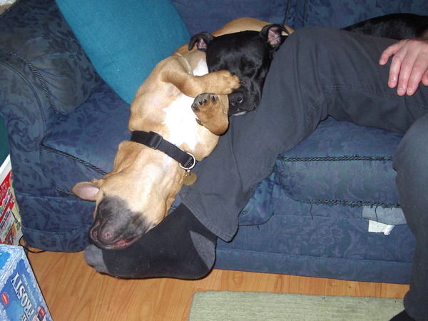 "But we took you to stately homes!!!" - Survivors of Dysfunctional Families