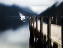 Photography chat thread - for all who are into Photography in whatever form