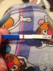 Jazz up your ROC, Invoke a Wankban, Shake your Beaver and Find Cupboard Love with the Just Shagging Viroids! Don't forget to Cup and Run...it's JS 38!