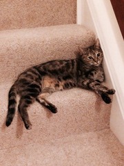 Name ideas for this little lady? (Cute pic attached)
